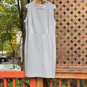 Calvin Klein Lady’s Gray Dress